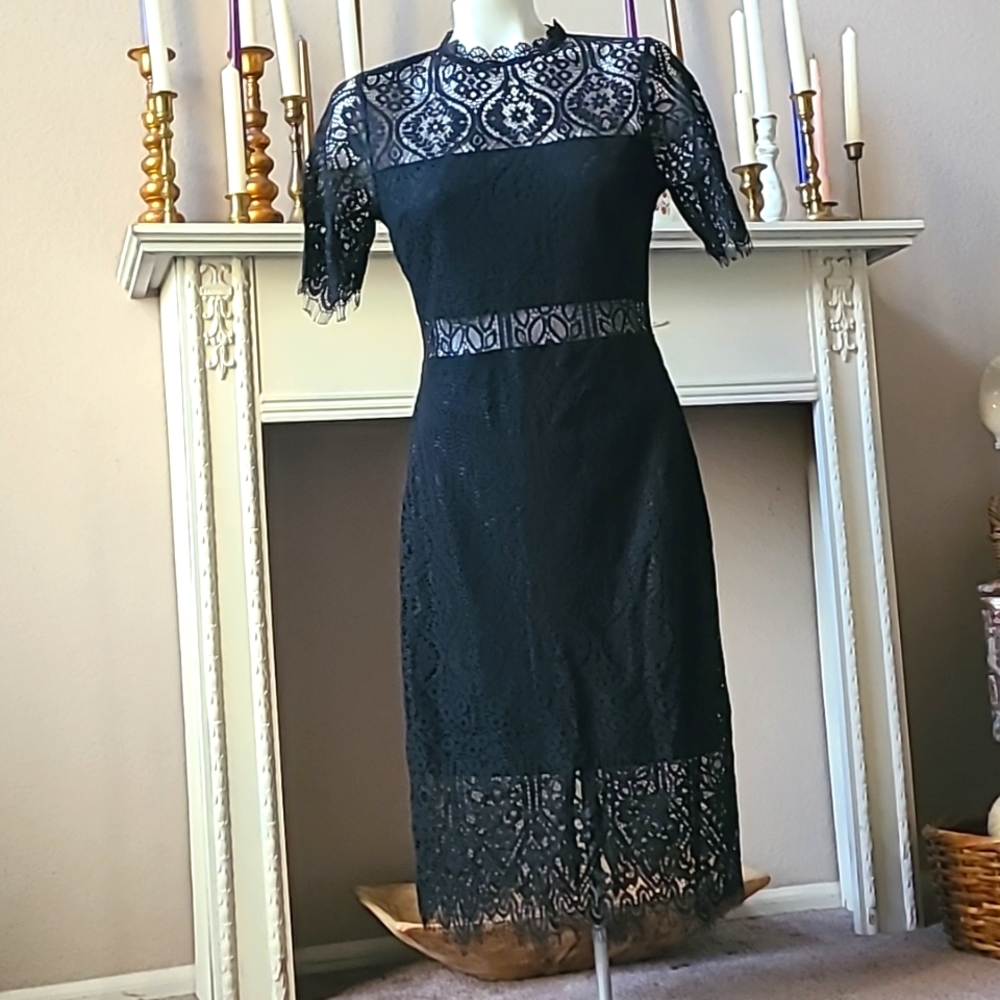 * Lulu's Remarkable Black Sheer Lace  Mini